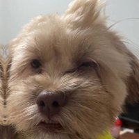 朝が楽しみになりそう！！