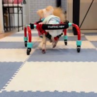 しっかりと足を動かします