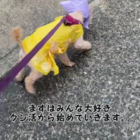 雨の中を颯爽と散歩