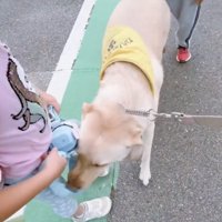 癒しの空間が生まれました…！