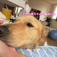 「赤ちゃんのそばがいいんだ…」