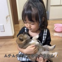 子犬を見つめる女の子