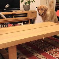 卓球をした時のビスコくん2