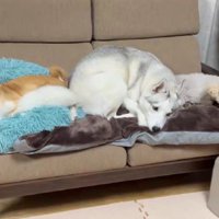 リクちゃんが避難
