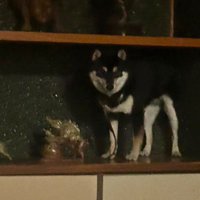 思わず笑ってしまう1コマ
