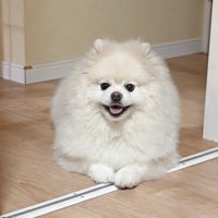 次のコスプレも楽しみ！