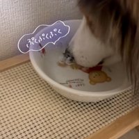 繰り返すさつまくん