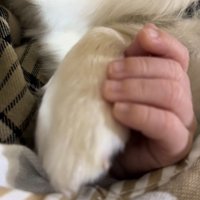 おててを繋いで…