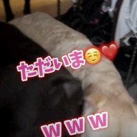 「おかえり！」