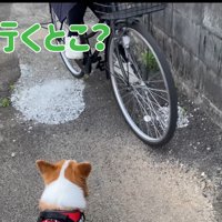 お散歩中にお姉ちゃんに遭遇