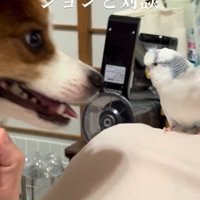 楽しそうにおしゃべり