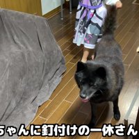 赤ちゃんに釘付け！