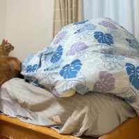もう気付かれた！？