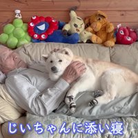 おじいちゃんの元へ…
