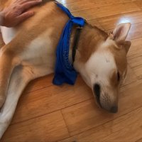 尊い光景にほっこり♪