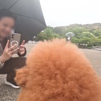 「なんて美しいの！」