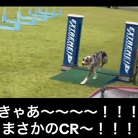 ゴールしたみかづきちゃん