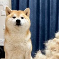 抜け毛