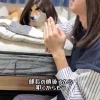本当のオフィスみたい♪