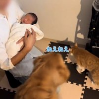 やってきた諭吉くん