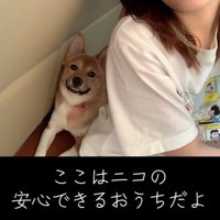 女性の後ろで笑みを浮かべる犬