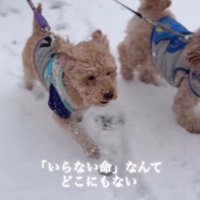 「いらない命なんてない」