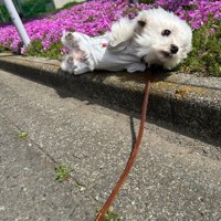 ひっくり返ってしまいました！