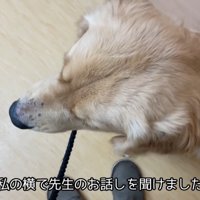 大人しくしていると思ったら…