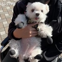 大人しく抱っこされているナナくん