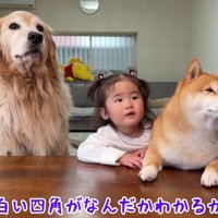 急いでテーブルの前へ