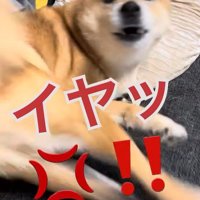 断られました！