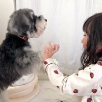 渋々芸を披露してくれました