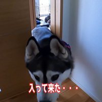 部屋の中へ