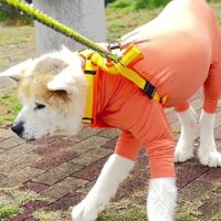 「これ以上進みたくない…」