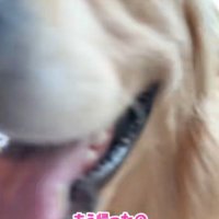 寂しそうな顔がたまらない…