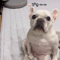 はなちゃんの体勢3