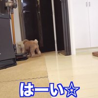 ついにパパが帰宅すると…