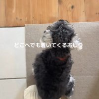 愛おしいアピールにキュン♡