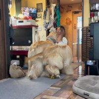 甘えが止まらない…