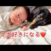 赤ちゃんと犬1