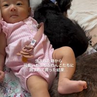 足を乗せても怒りません