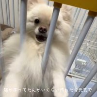 とっても元気な男の子♪