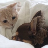 「一緒に遊ぼうよ～♪」