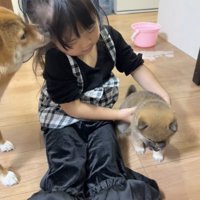 子犬に手を添える女の子