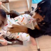 女の子を見守るダンロくん4