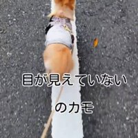 目が見えていないのかも…？