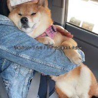 その日の昼も病院で大暴れしたそう