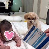 赤ちゃんの成長を…