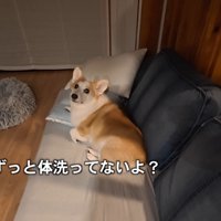 夜中に「体洗いましょう」と言ったら…