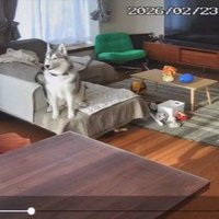 静かになりました